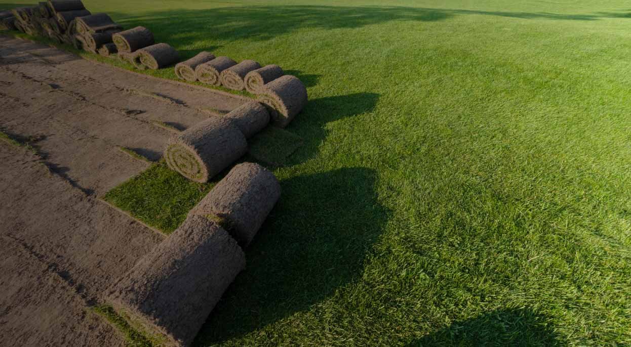 Landscaping 07